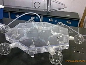 生物科技 价值与价格的深层博弈