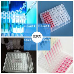默沙克生物科技 F-ELISA试剂盒引领精准检测新标准
