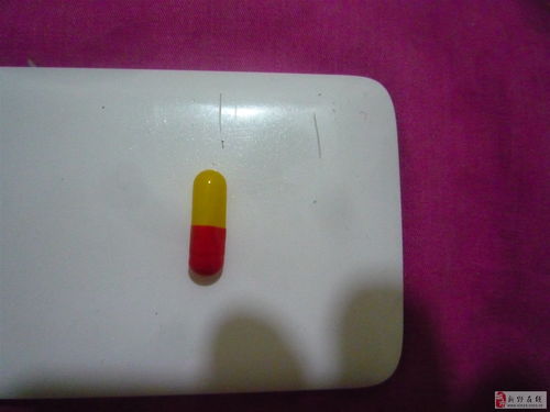 生物科技 重塑生命边界，驱动未来产业革命